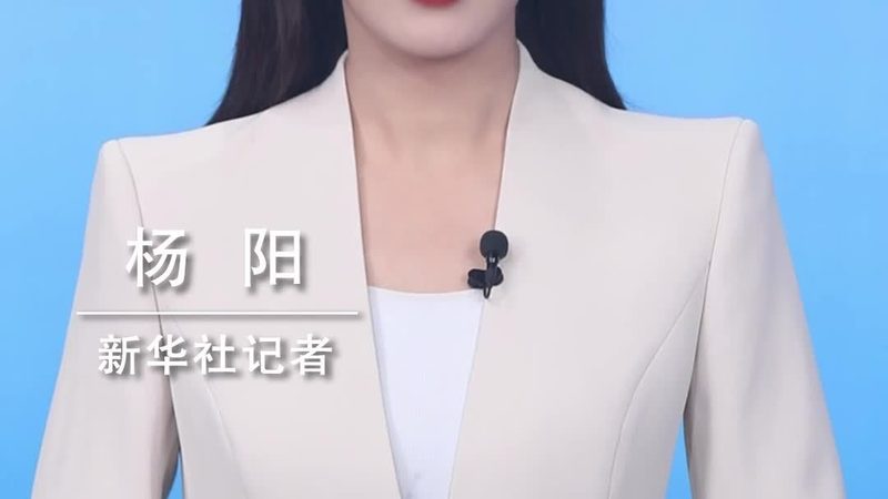 上海SaaS平台API接口参数集成费用解析